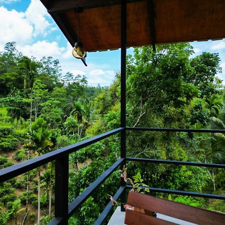 Sunshine Forest Lodge - Sinharaja เดนิยายา ภายนอก รูปภาพ
