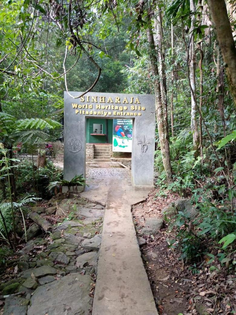 Sunshine Forest Lodge - Sinharaja เดนิยายา ภายนอก รูปภาพ