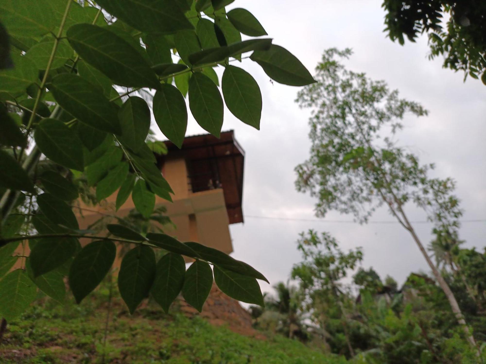 Sunshine Forest Lodge - Sinharaja เดนิยายา ภายนอก รูปภาพ