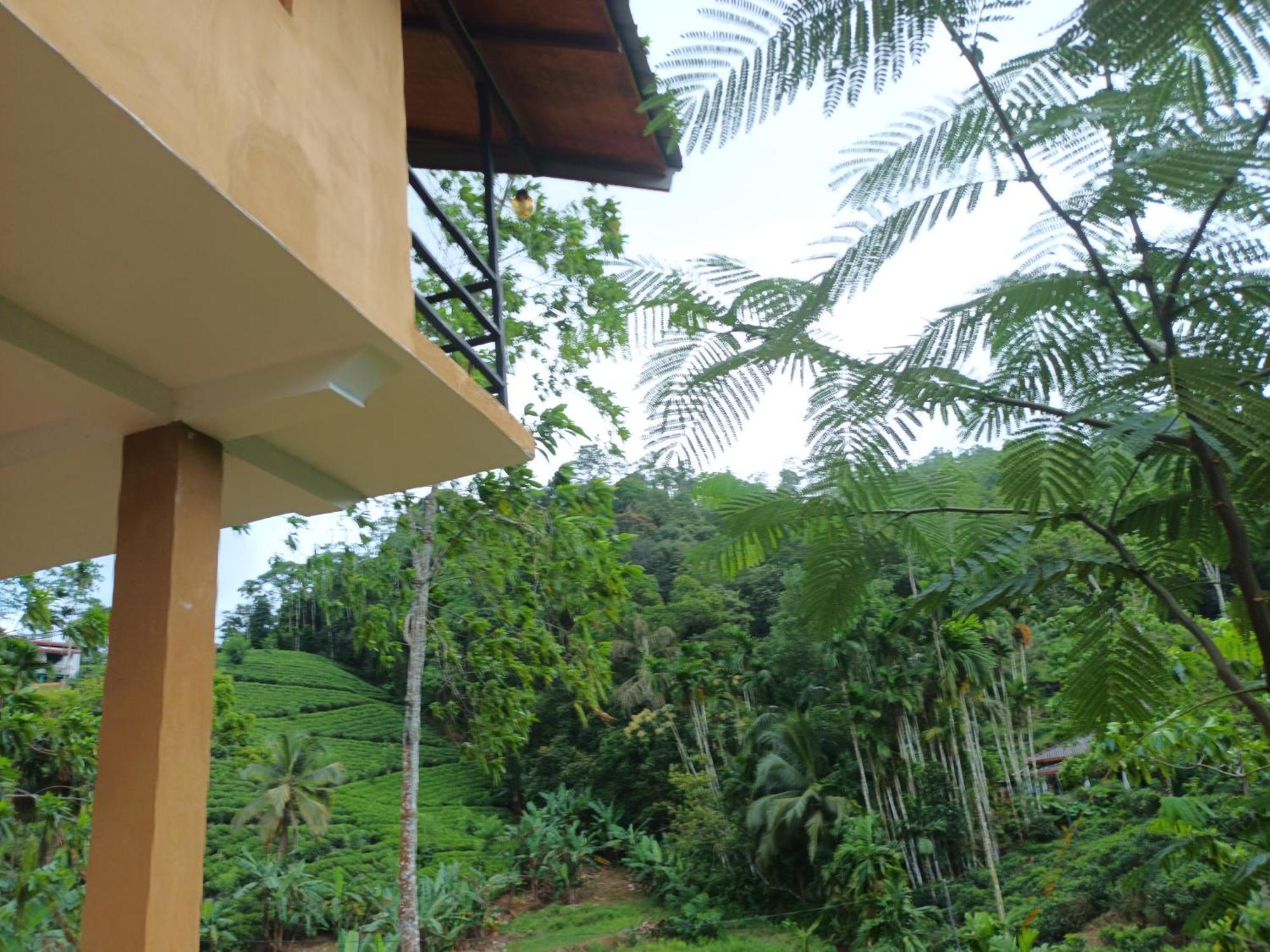 Sunshine Forest Lodge - Sinharaja เดนิยายา ภายนอก รูปภาพ