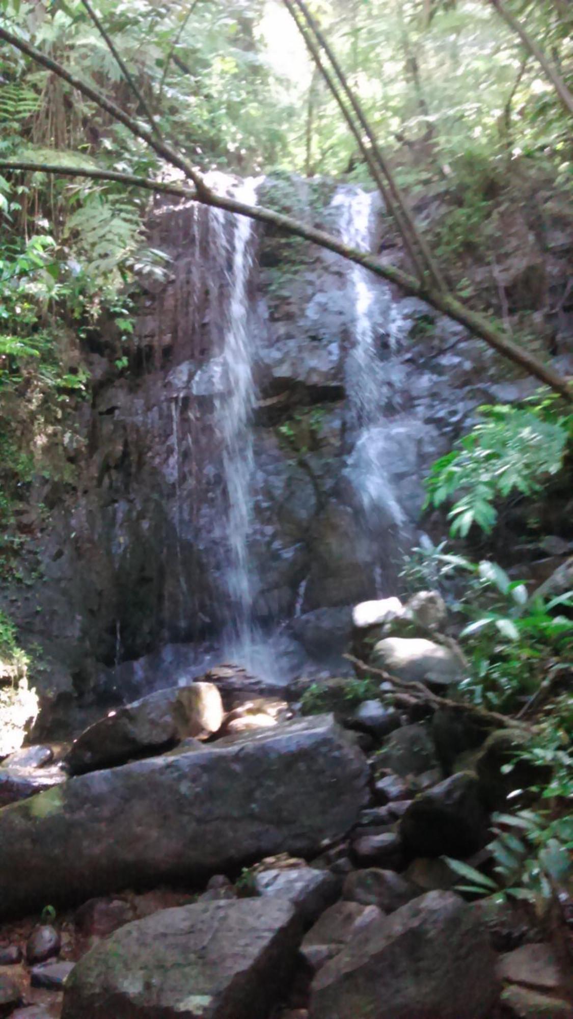 Sunshine Forest Lodge - Sinharaja เดนิยายา ภายนอก รูปภาพ