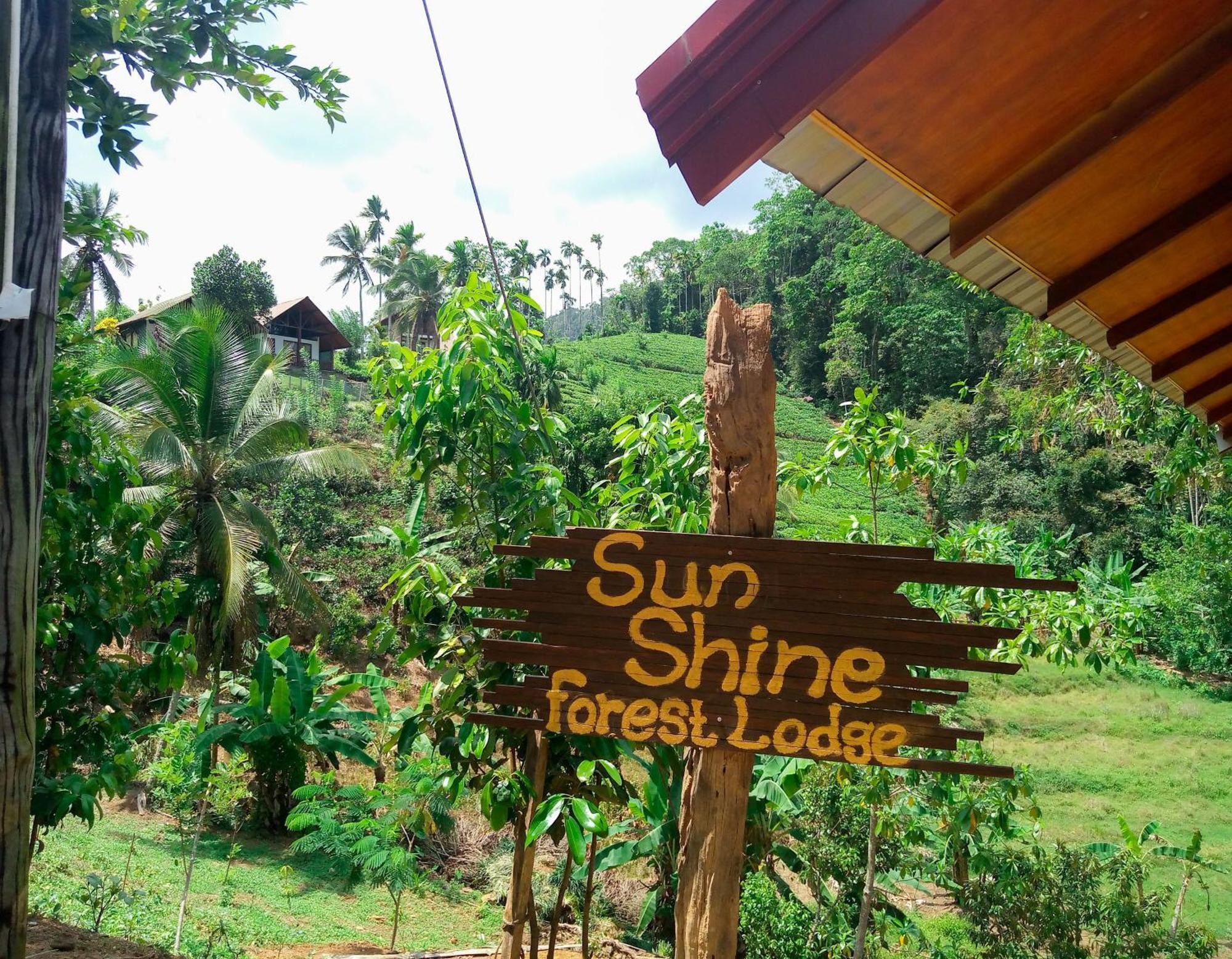 Sunshine Forest Lodge - Sinharaja เดนิยายา ภายนอก รูปภาพ